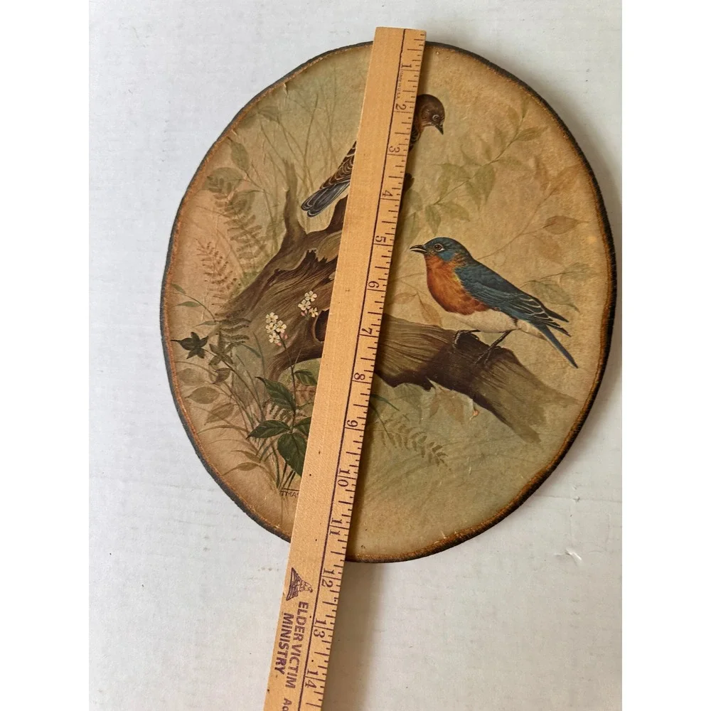 Vintage Set of 4 Bird Wall Plaques Oval Wood Decoupage Cardinal Robin Bluebird